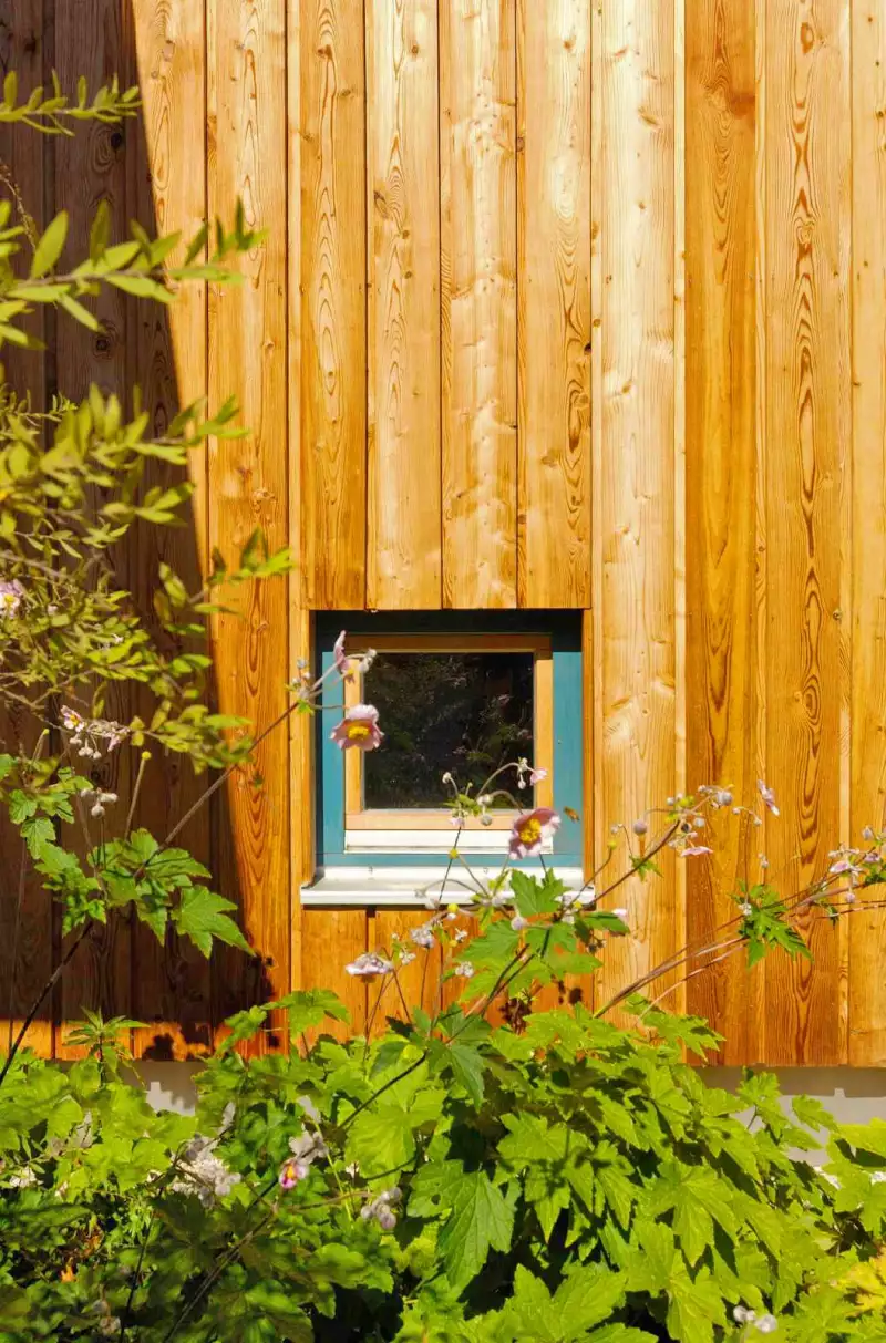Gesunder Lebensraum Holzhaus Lechner Zimmerei