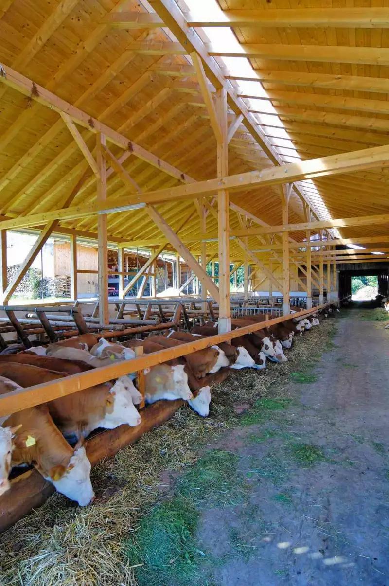 Ökologisches Bauen mit Holz Lechner Holzbau