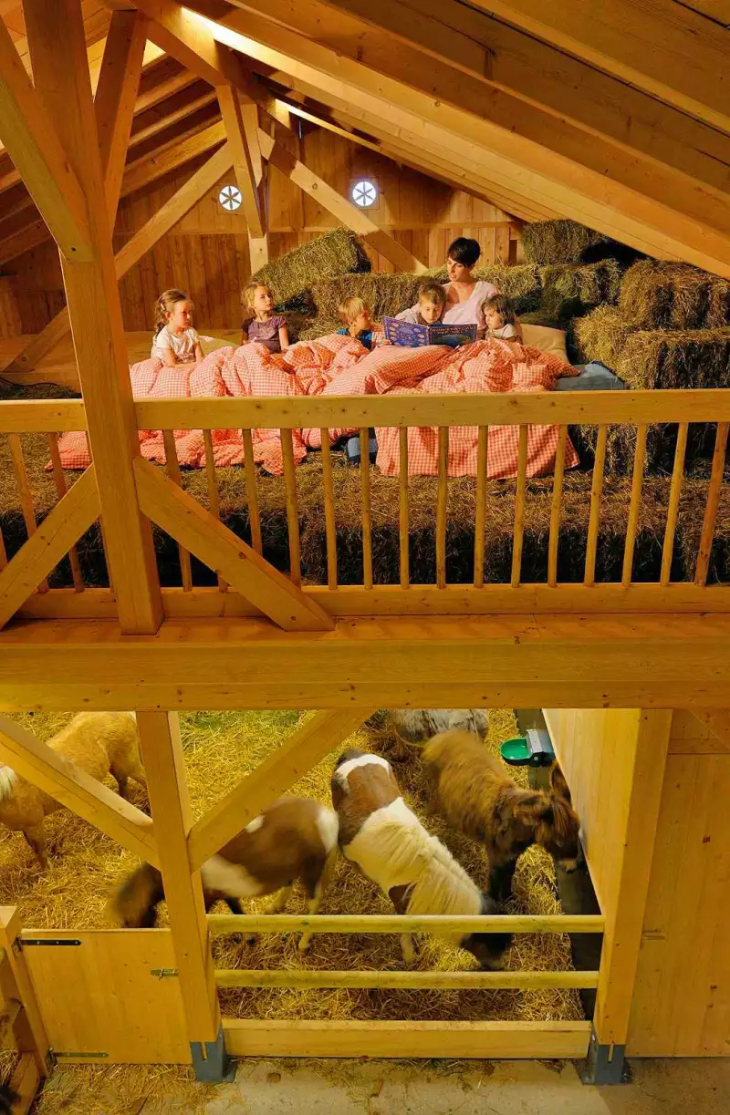 Tradition Moderne Bauten aus Holz